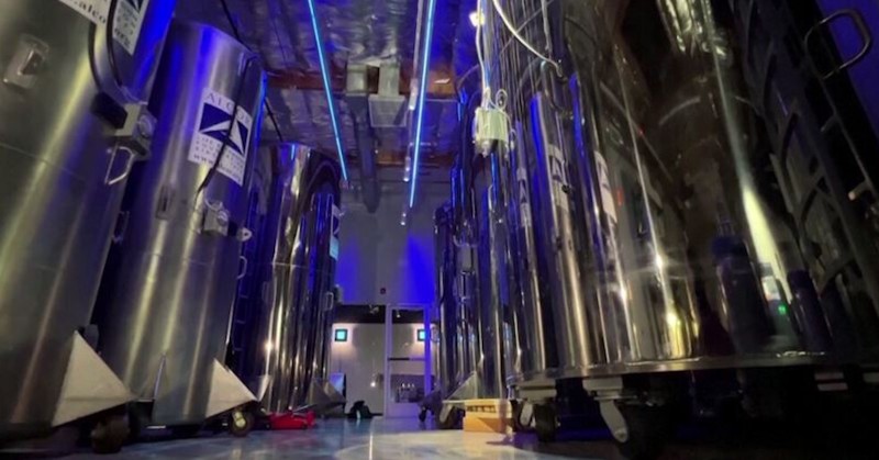 Компания от Аризона предлага безсмъртиеВремето и смъртта са на пауза за хората,