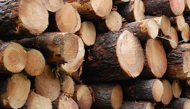 От горския сектор призовават гражданите да сигнализират при съмнения за