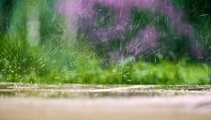 Максималните температури ще са до 22 - 24 градусаДенят ще