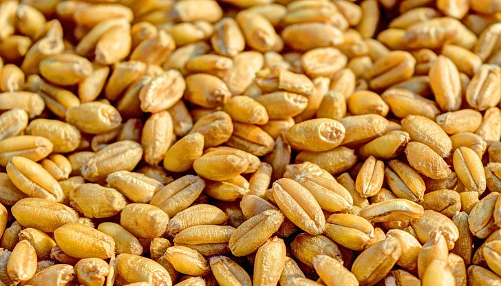 Киев и Москва са сред най-големите производители в светаООН е