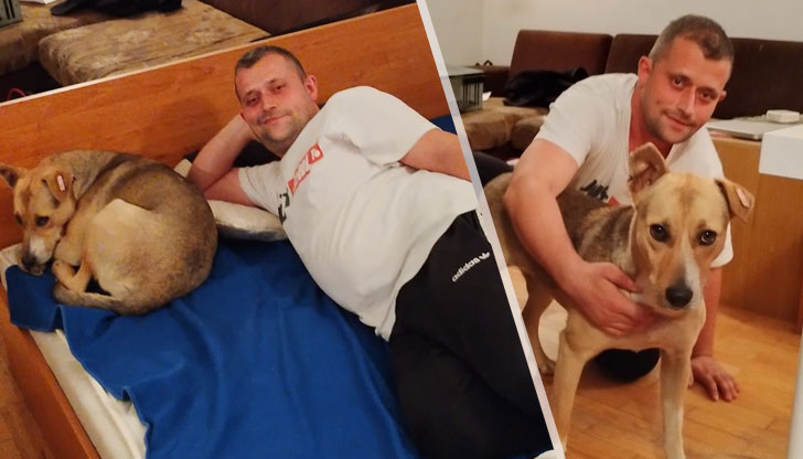 Фернада днес отива на ветеринарЗапознайте се с Фернада, това куче