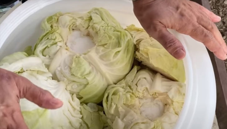 Вече застудя и започваме да се оглеждаме на пазара за