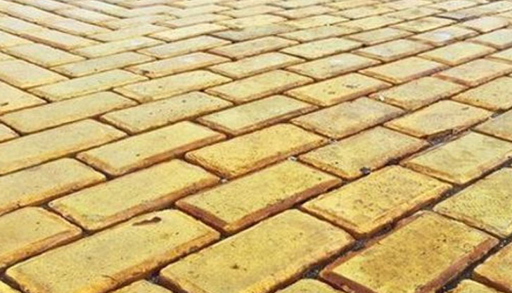 Експерти от България и чужбина ще решават как да се