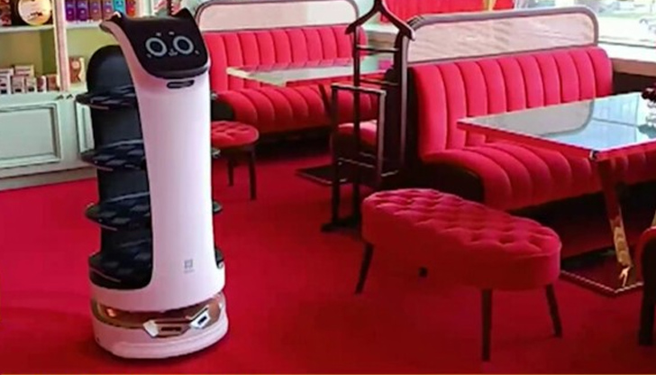 Запознайте се с чаровната Белла - тя никога не обърква