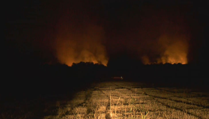 Пожарът е овладян от 4 екипа на пожарнатаОвладян е пожарът