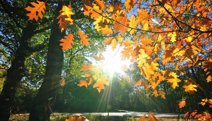 Какви температури да очакваме през следващите дни и има ли