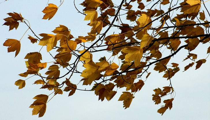 Температурите днес ще са чувствително по-нискиИзборният ден ще е прохладен