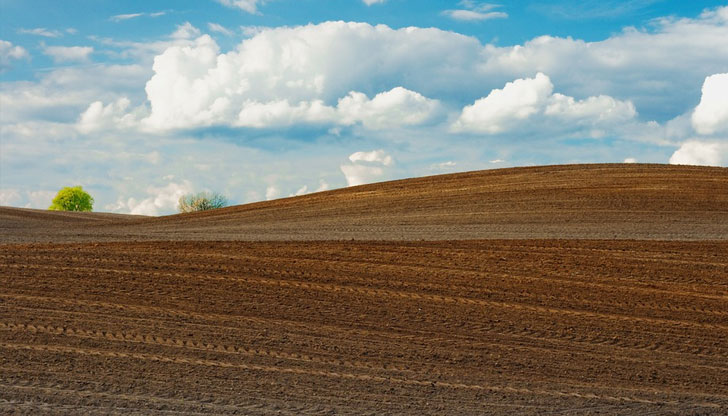 Най-скъпи са нивите в Добрич, а тези в Шумен поевтинявахаКраят