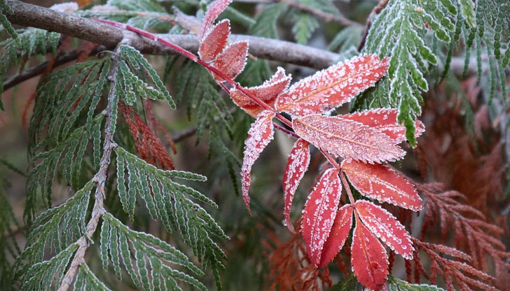 През нощта ще бъде ясно и почти тихоМинималните температури ще бъдат