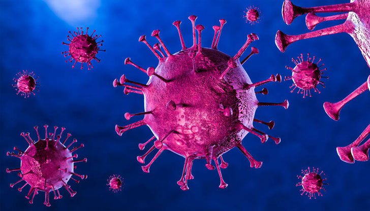 Направени са 6808 теста, като делът на положителните резултати е 11,55