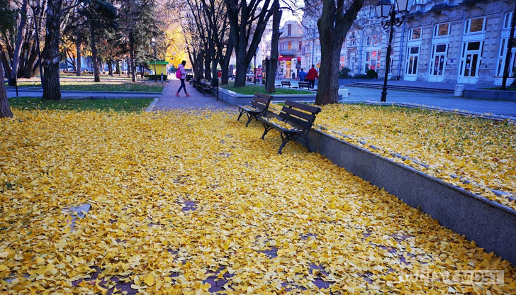 От четвъртък до неделя ще бъде слънчево и топлоПрез първия ден