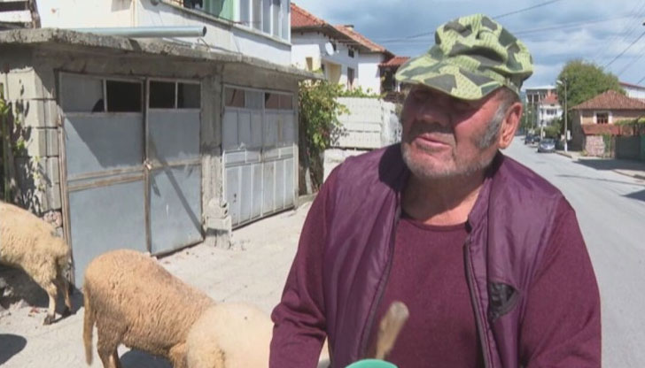 Бай Иван: Псува се навсякъде. Я псувам всякъде овцете, коня,