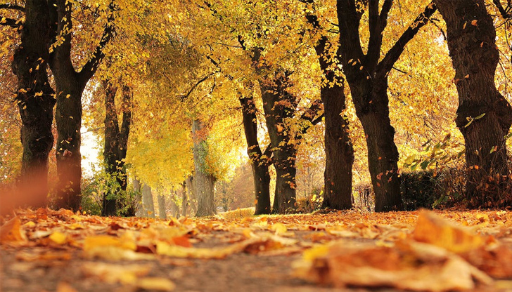 В сряда на места дневните температури ще достигнат 25 -