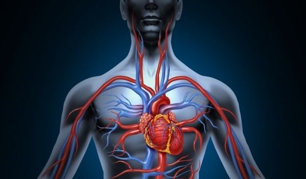 Солта се приема за един от основните виновници за високото