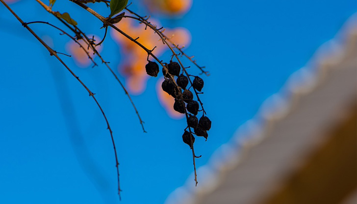 Експерти предупреждават, че Европа може да бъде ударена от студен