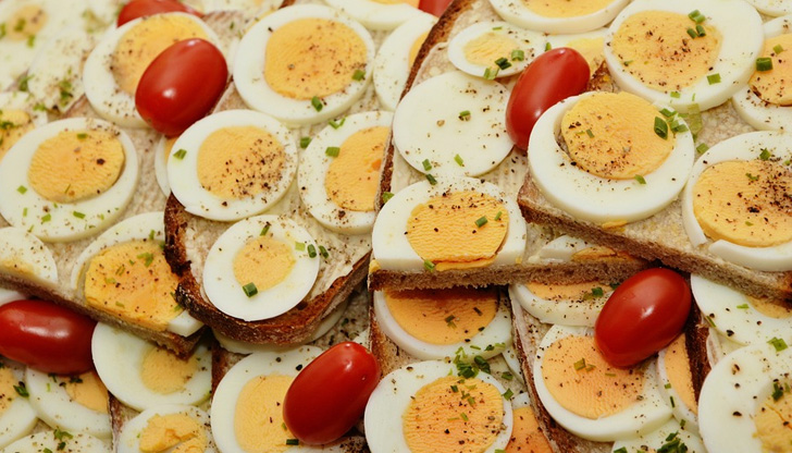 Схващането, че протеиновата храна не може да се преобразува в