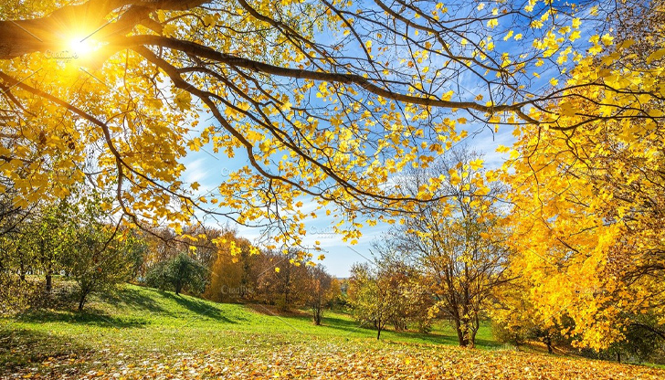 Максималните температури ще са между 22° и 27°Утре ще е
