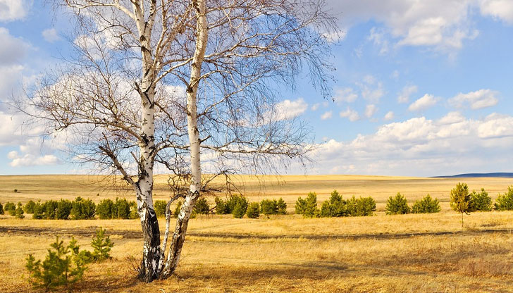 Максималните температури ще са между 20° и 25°През нощта ще