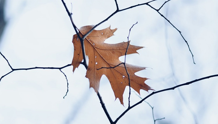Валежите ще са оскъдниВ събота от северозапад на югоизток облачността