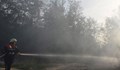 Пожар обхвана близо 300 декара на територията на военния полигон "Ново село"