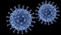Само три нови случаи на коронавирус в Русе