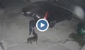 Задържаха мъжа, тормозил куче в София