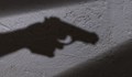 Застреляха мъж пред дома му в село Сенник