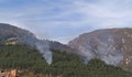 Нов пожар се разгоря в боровата гора над Карлово