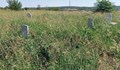 Община Русе се кани да глобява гражданите, които не поддържат гробовете на близките си