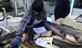 Масирани проверки на щандовете за риба в Русе