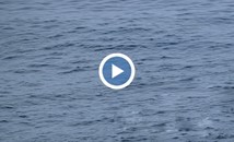 Пътник на круизен кораб прекара 15 часа в открити води