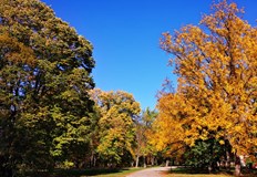 Евентуално захлаждане се очаква след сряда Продължава сухото и топлото време