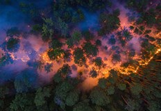 Пожарите са освободили около 150 милиона тона въглерод в атмосферата