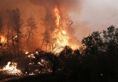  На места пожарът е навлезнал до 700 метраСамо с наземна