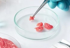 Месото е пилешко култивирано чрез клетки от живи животни които