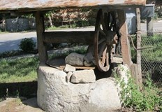 От Продължаваме промяната настояваха отлагането да е само с година