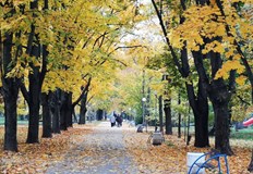 Минимална температура за Русе 6 градуса максимална 12