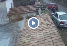 Тялото на животното е намерено пред къща в селотоЗа пореден