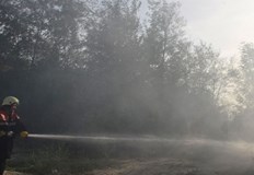 Огънят не е локализиранПожар е обхванал близо 300 декара на