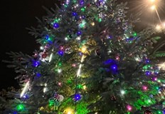 Не спирайте да вярвате в чудеса защото те са навсякъде