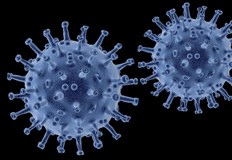 10 6 от пробите в страната са положителниВ Русе има само три нови