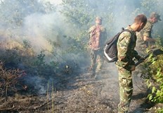 Теренът е много трудно достъпен 200 души се борят с