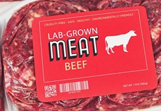 Култивираното в лаборатория месо е алтернатива на убиването на животни