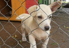 Срокът за подаване на оферти за участие е до 23 59