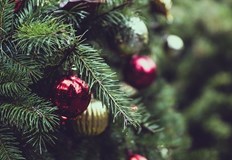 Живите коледни дръвчета не обичат климатици и цветни лампичкиПоскъпването на