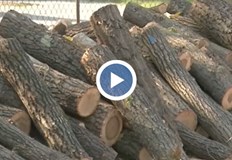 Колко притеснителна е ситуацията Много училища и детски градини са заплашени