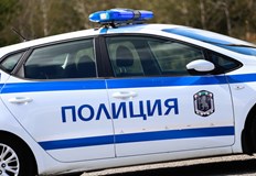 Животното е простреляно на 19 ноемвриНа 19 ноември около 18 00