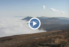 Четвърто денонощие няма следа от мъж отишъл да бере боровинки