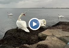 Подобни гледки са изключителна рядкост през активния туристически сезонВ неделния