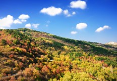 С до умерен на места в Западния Предбалкан и временно